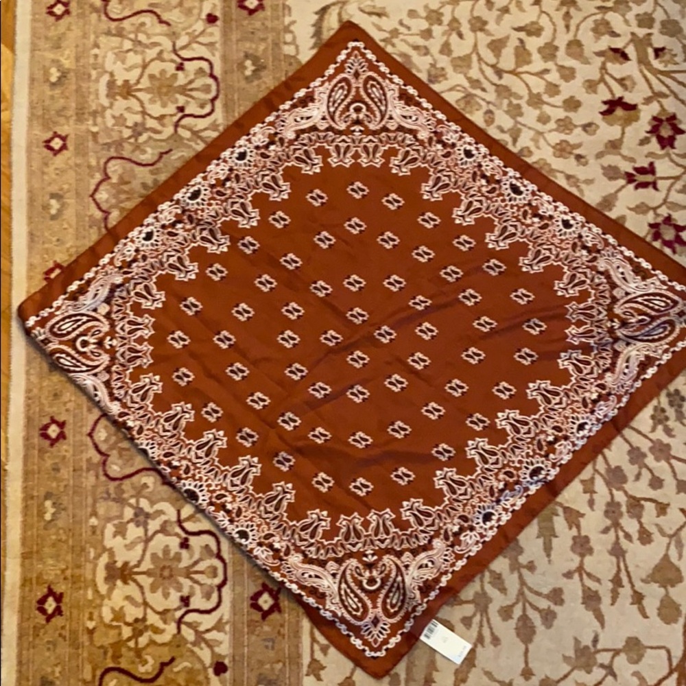 Anthropologie Scarf/ headband